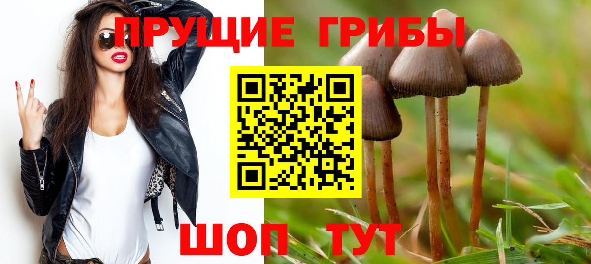 Каспийск  Псилоцибиновые грибы Psilocybine cubensis  Вход с VPN 
